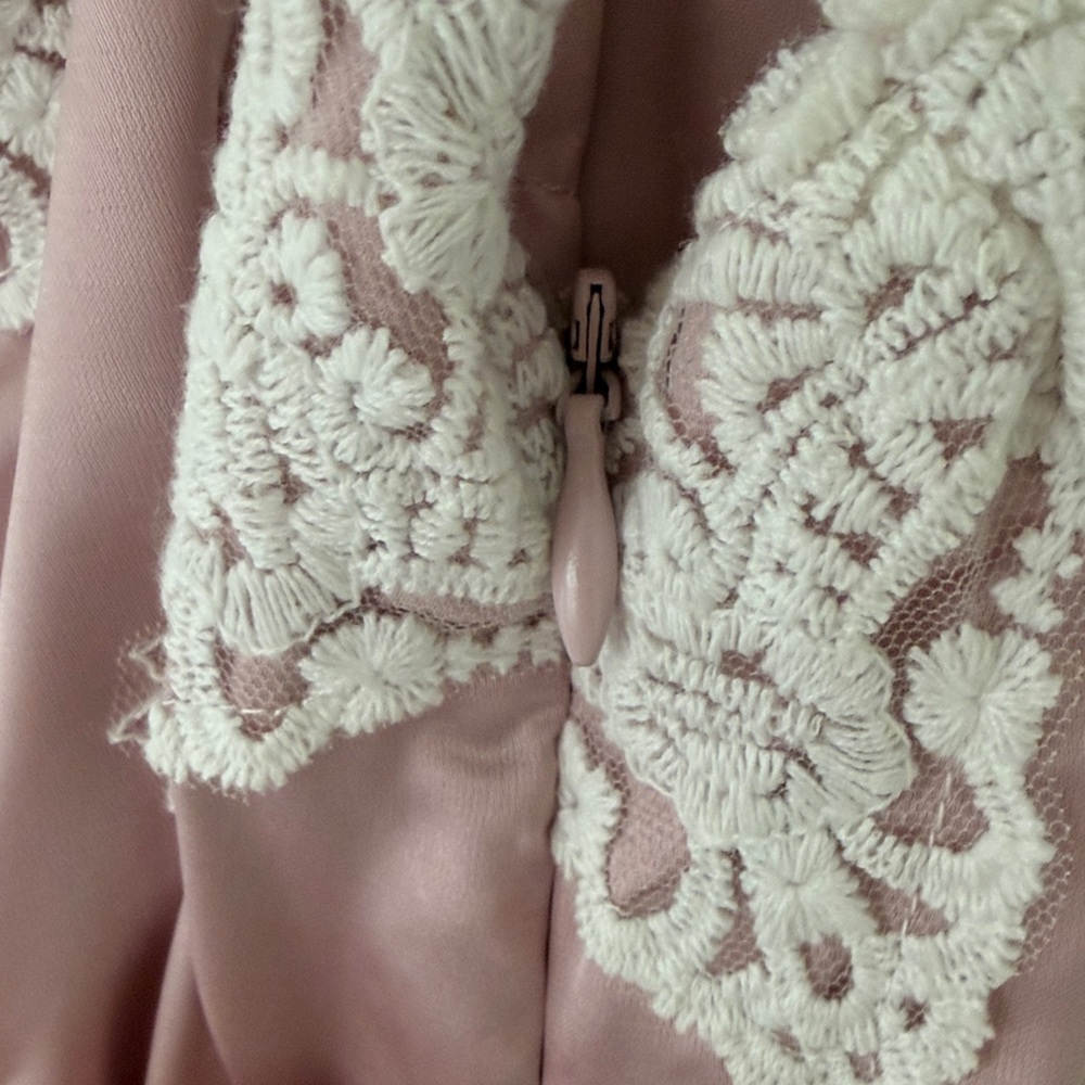 NWT LE LIS Ring Ring Mini dress size S pink ivory lace satin - Picture 4 of 7